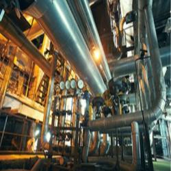 خدمات مغزه گیری